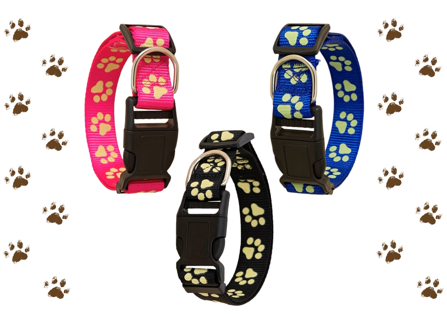 Nutri Paw™ Glow in the dark collar