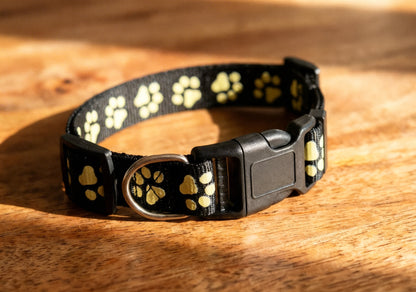 Nutri Paw™ Glow in the dark collar